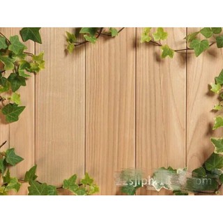 Phông nền chụp ảnh 3D