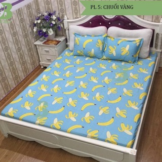Bộ ga chun m6*2m và 2 vỏ gối đầu 45*65cm cotton poly SALE