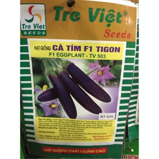 Hạt giống cà tím