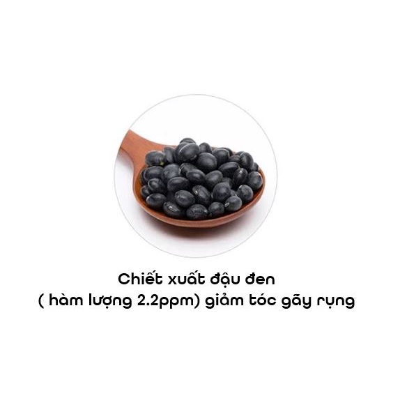 Dầu Gội Ngăn Rụng Tóc Chiết Xuất Đậu Đen Nature Republic  BLACK BEAN Anti Hair Loss Shampoo 300ml