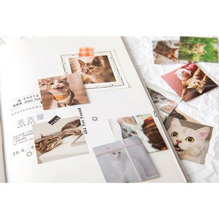 Bộ 46 Sticker Mèo Hàn Quốc dán trang trí E80