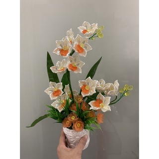Chậu hoa ơha lê cao 40-45cm