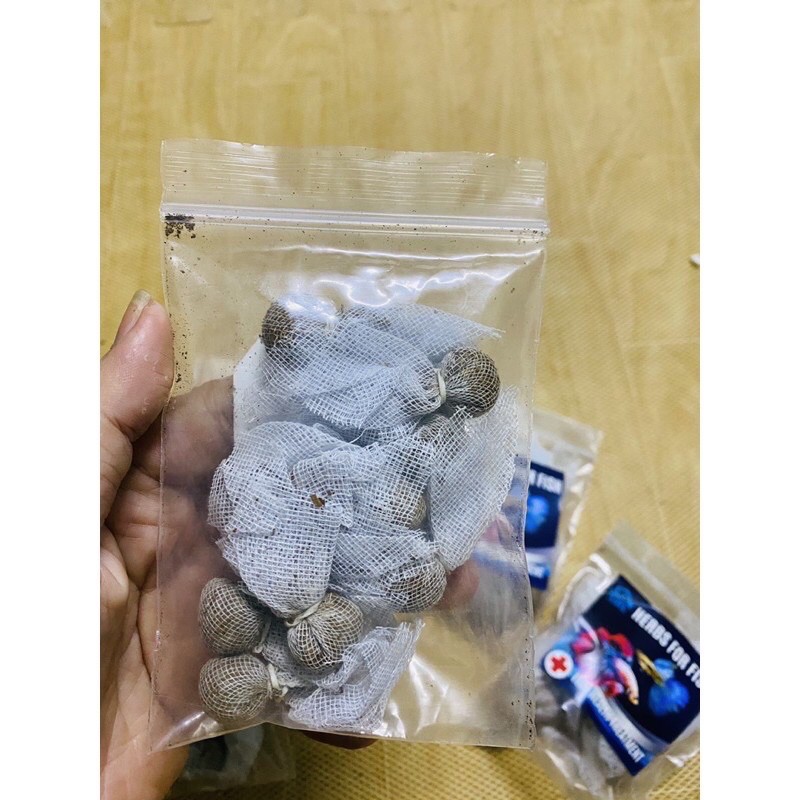 thuốc bắc hàng thái giúp cá khoẻ ít bệnh