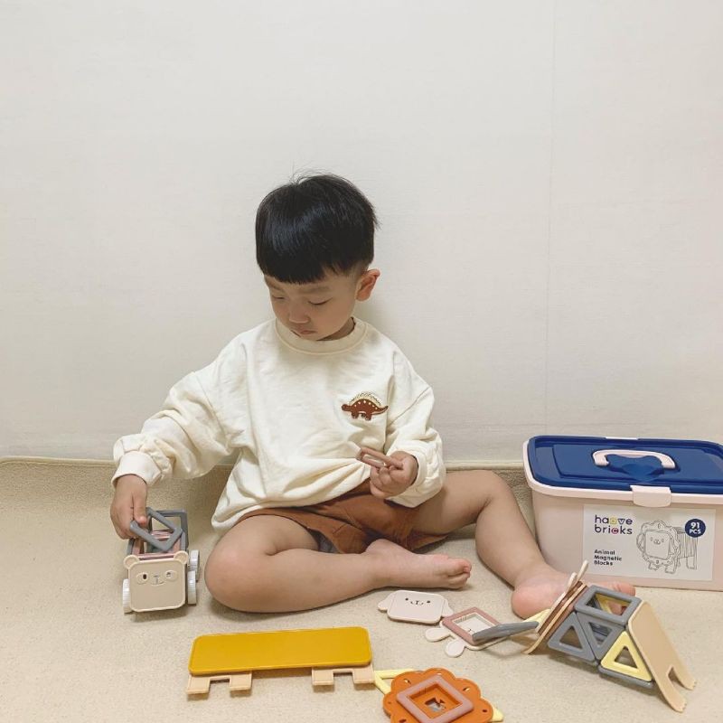 BỘ ĐỒ CHƠI XẾP HÌNH NAM CHÂM HAAVE BRICKS HÀN QUỐC