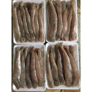 CÁ BỐNG BIỂN 1kg