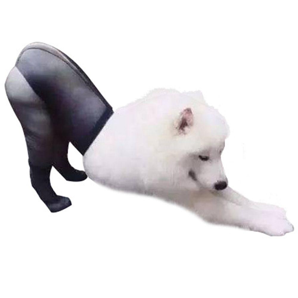 Quần Tất Lưới Cotton Mềm Mại Màu Trơn Cho Thú Cưng