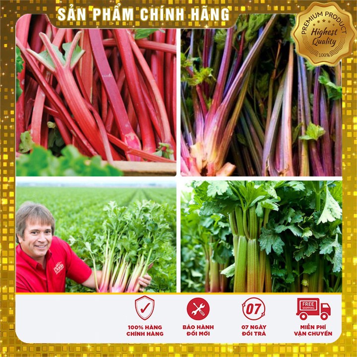 Hạt giống Cần Tây đỏ dinh dưỡng ( 2 Gram )