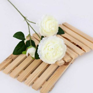 COMBO 50CÀNH HOA LỤA CAO CẤP (SỈ 9K)