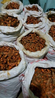 100g BỘT NGHỆ NGUYÊN CHẤT HANDMADE