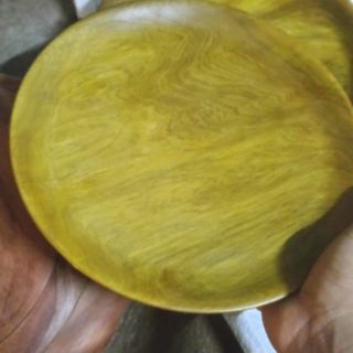 Đĩa gỗ bách xanh