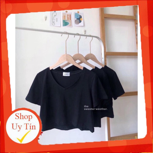 🌸 Thun cộc tay basic chữ V, phông trơn ngắn màu ĐEN | TRẮNG Ulzzang HOT 🌸