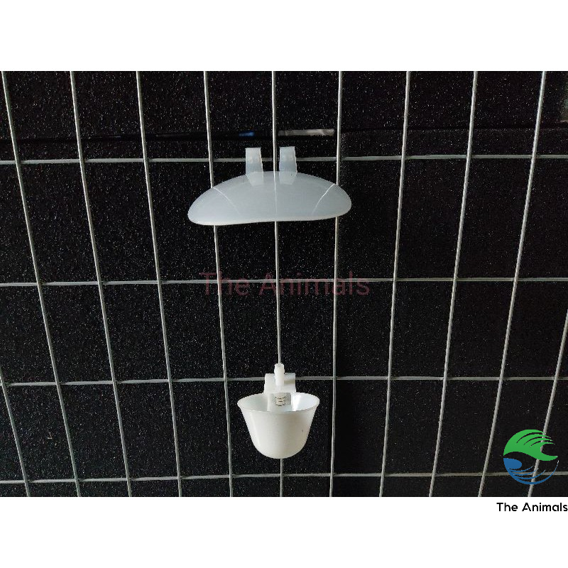 Tấm chắn phân rơi cho chuồng chim bồ câu