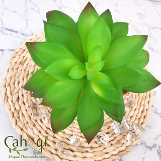 Cây Giả - Sen Đá Cỡ Lớn Hoa To SP090973