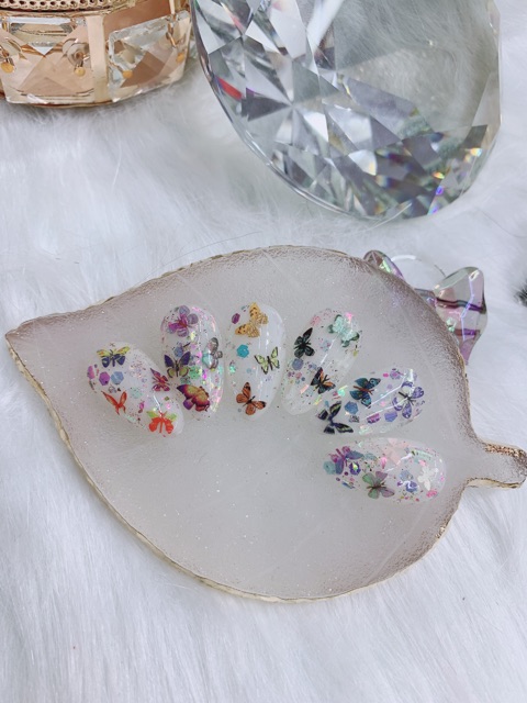 Set hoa bướm ẩn nail
