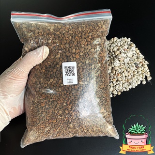 Đá Pumice Indonesia cao cấp sạch bụi vụn