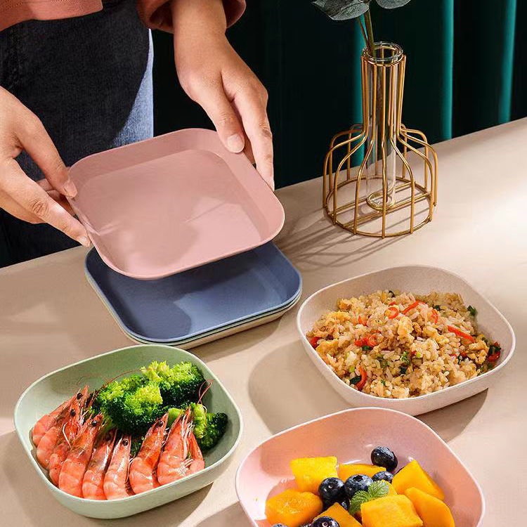 Set 8 Đĩa Lúa Mạch Nhiều Màu- Hàng Mới Về