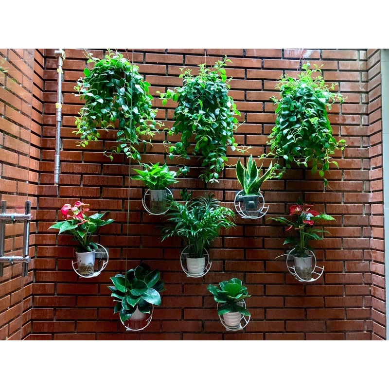 Giá Sỉ Xuất Xưởng - Giá Treo Cây Cảnh, Chậu Hoa