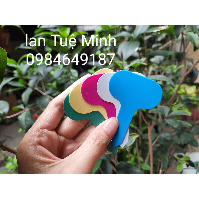 Set 20 thẻ tên dạng cắm đủ 5 màu trong 1 set - Ghi tên cây, phong lan, đồ vật