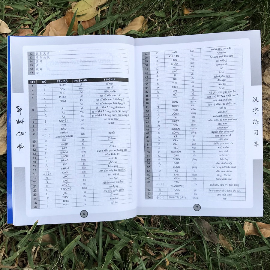 Sách - Tập viết chữ hán - Theo giáo trình Hán ngữ - Phiên bản mới | BigBuy360 - bigbuy360.vn
