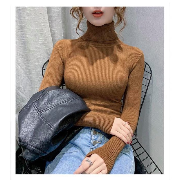 Áo Len Tăm Cổ Gập Nữ Nhiều Màu Chất Liệu Co Giãn Cao Cấp | BigBuy360 - bigbuy360.vn