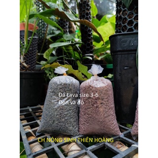 Đá nham thạch Lava Đỏ/Đen 3-6mm (Gói 400GR)