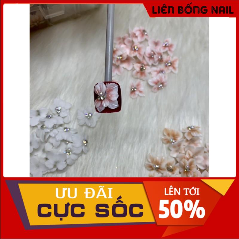 Hoa bột nail chân
