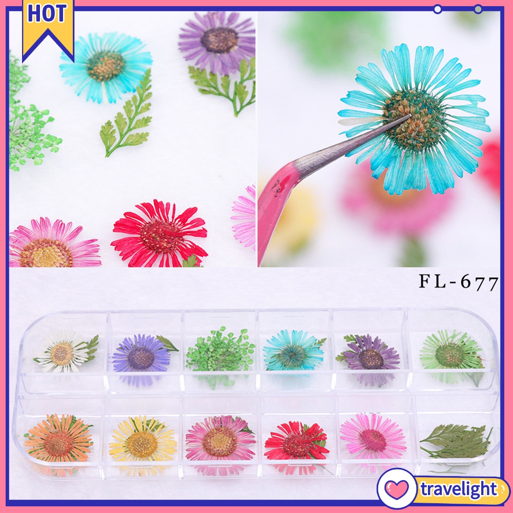 (Travelight) Hộp phụ kiện hoa khô trang trí móng tay