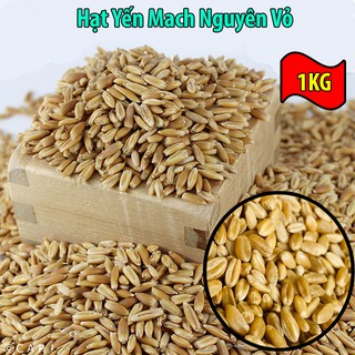 1kg Hạt Yến Mạch Nguyên Hạt Đã Tách Vỏ Cho Vẹt-Chim-Gà-Hamster-Rat