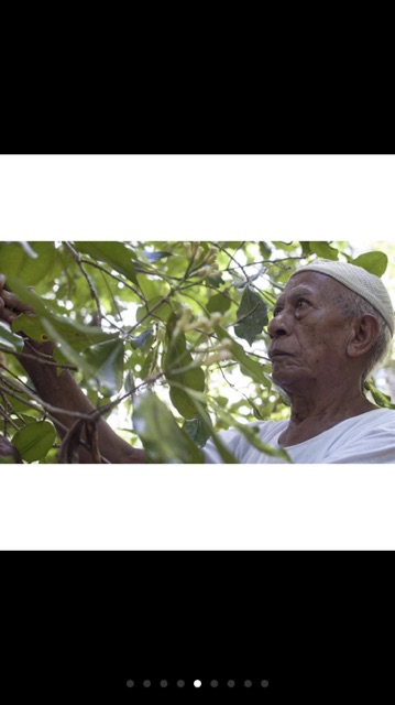 100GAM NỤ ĐINH HƯƠNG TÂY BẮC GIA VỊ THƠM NGON - HÀNG CÔNG TY THẢO DƯỢC VIỆT