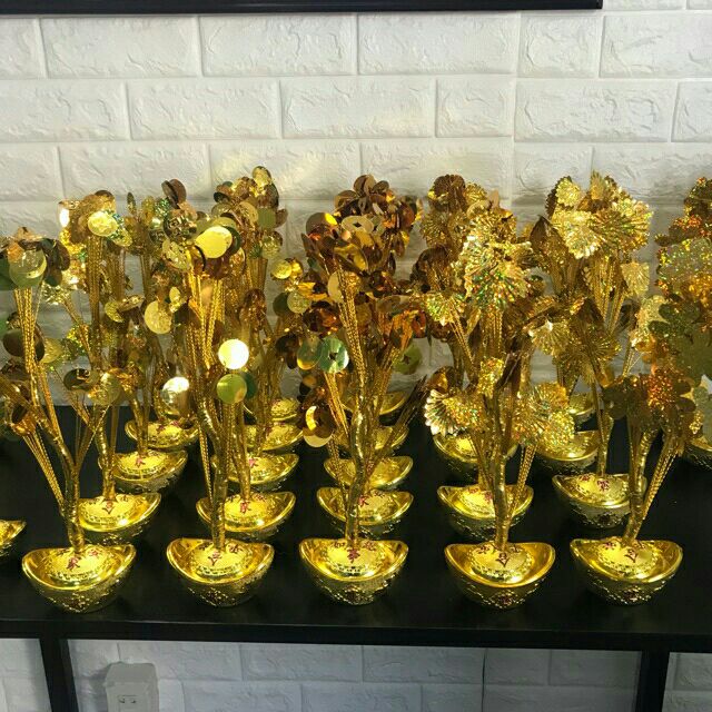 Cây Kim tiền vàng(set 5 cây ko hoa chưa xòe như hình)