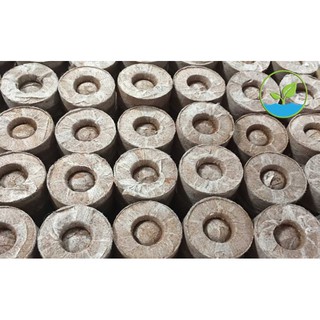 10 viên nén sơ dừa ươm mầm