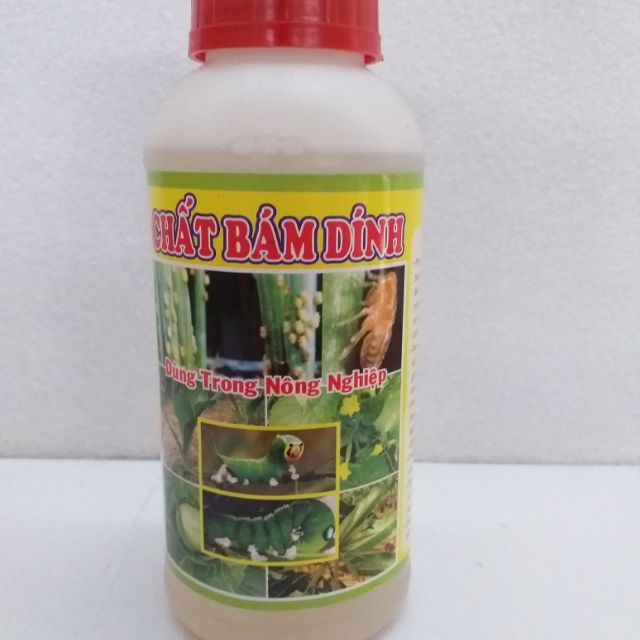 Chất Bám Dính 500ml