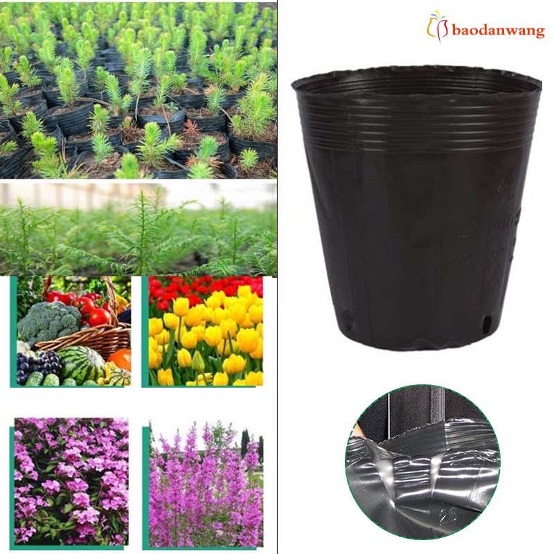 Bộ 50 chậu nhựa ươm mầm trồng cây chất lượng
