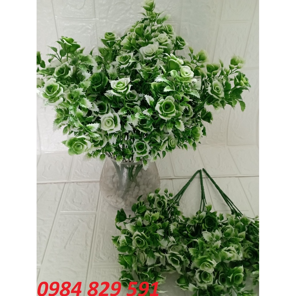 Cụm điểm hoa hồng