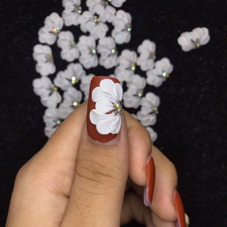 hoa bột nail