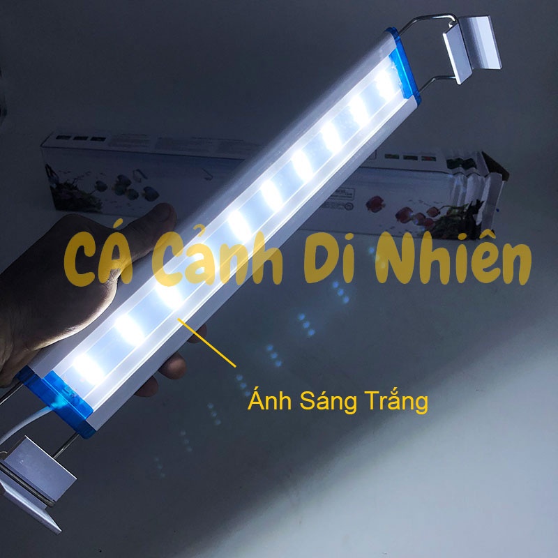 Đèn LED máng kẹp thành hồ cá 30-40 cm 9W 2 dãy màu TRẮNG - ĐỔI MÀU 24 LED P350