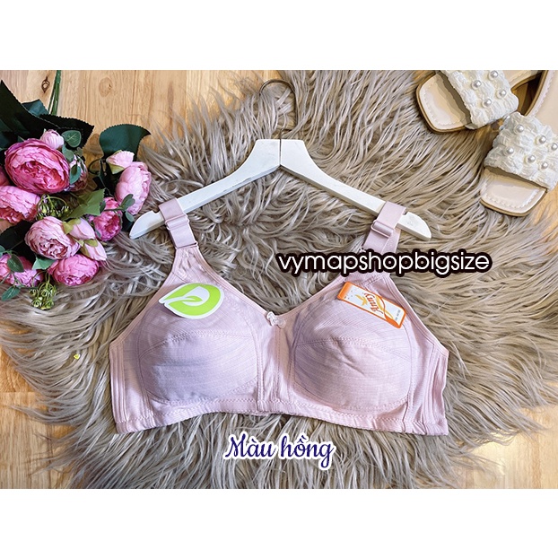 Áo bra / áo lót bigsize 44-46-48