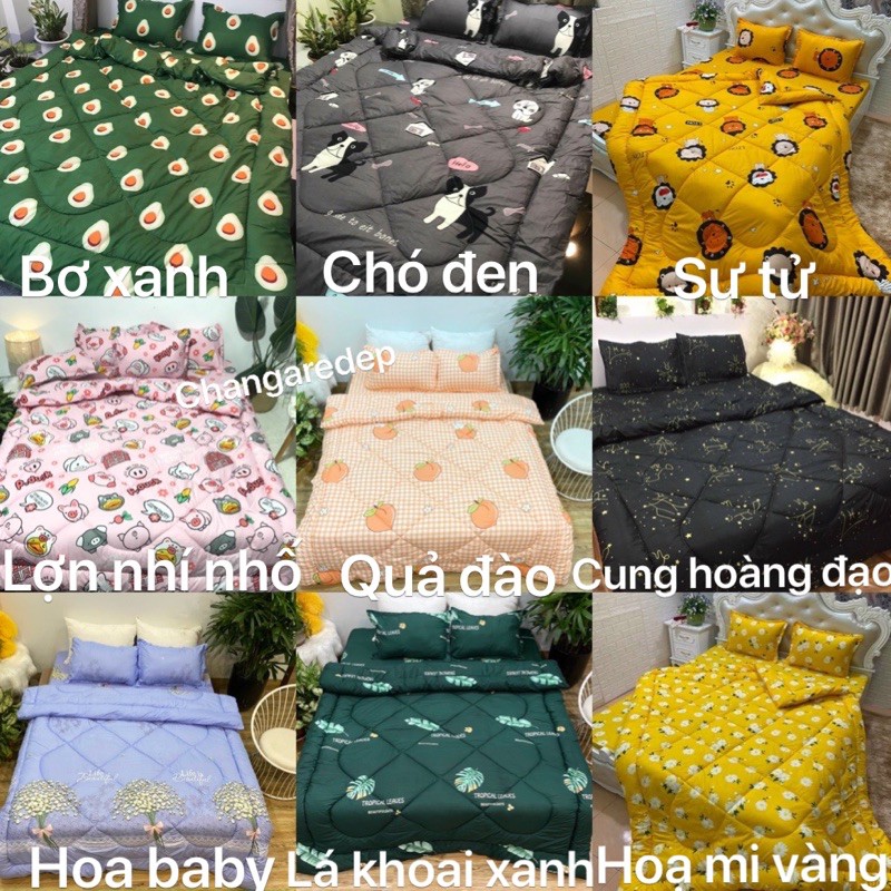 Bộ 1 Ga chun và 2 vỏ gối Cotton poly, chat chọn mẫu.