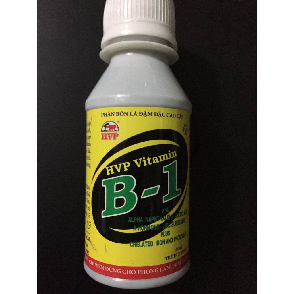 Vitamine B1 HVP 100ml
