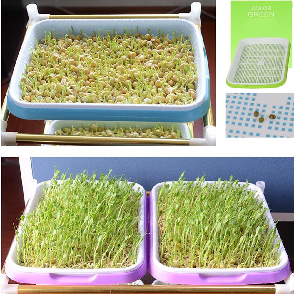 Khay trồng giá đỗ, ươm rau mầm sạch