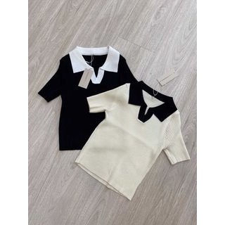 polo cổ màu | BigBuy360 - bigbuy360.vn