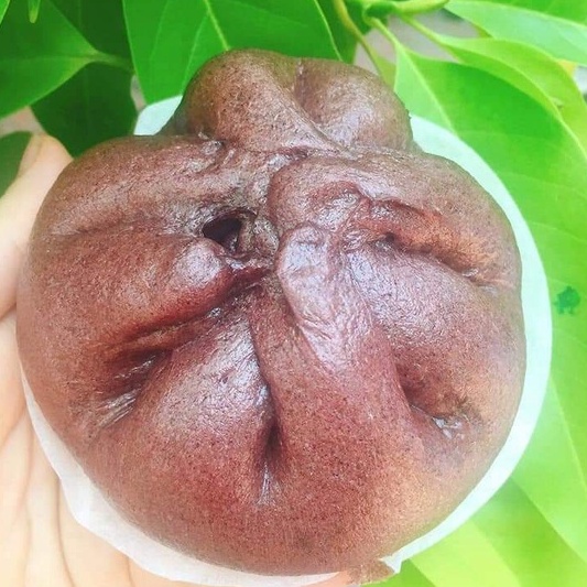 Bánh bao gạo lức nấm chay