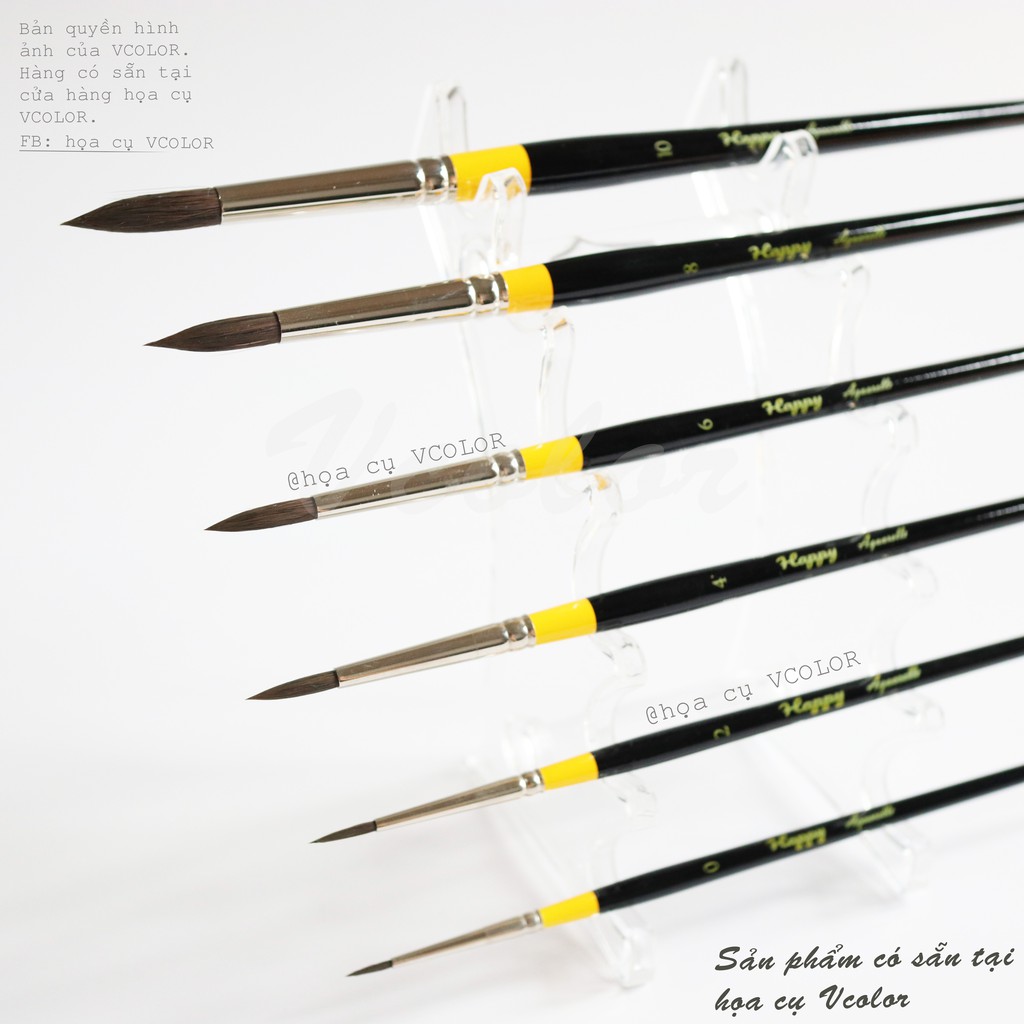 Cọ Happy Pro - Đủ Size - Made in Japan