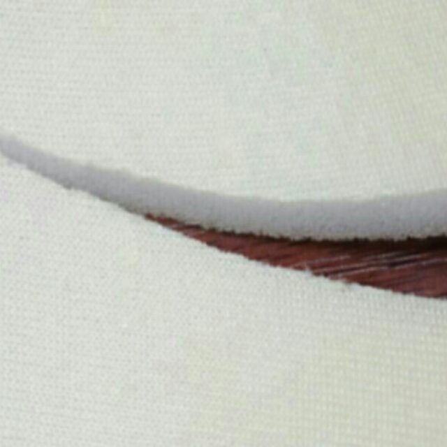 giảm giá 2 miếng nhét mút. | BigBuy360 - bigbuy360.vn