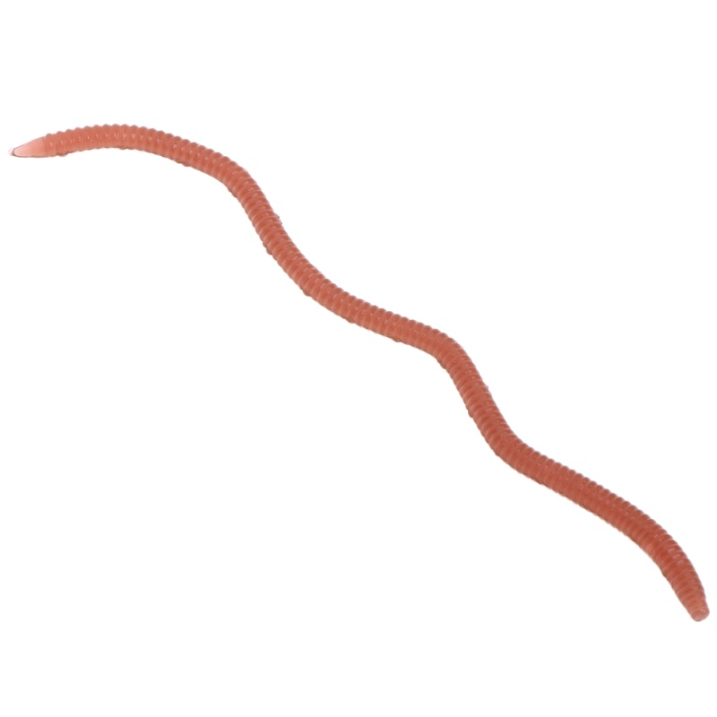 1 Hộp Mồi Giun Giả Câu Cá 10cm Mềm Co Giãn