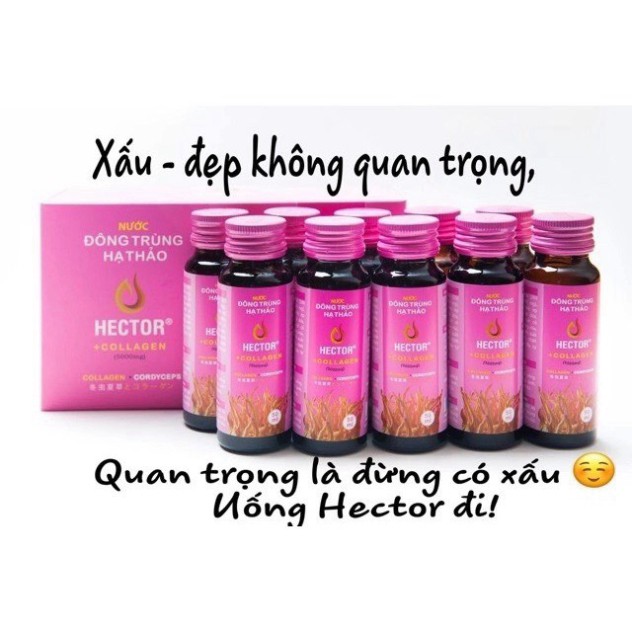 [CHÍNH HÃNG] Nước Hector Collagen Đông Trùng Hạ Thảo 1 hộp 10 chai