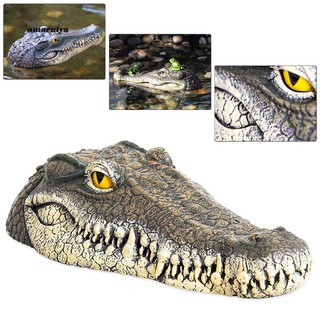 Mô hình đầu cá sấu nhân tạo trang trí hồ bơi sáng tạo