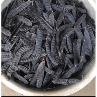 1Kg Quả Bồ kết khô mẩy, hàng loại 1
