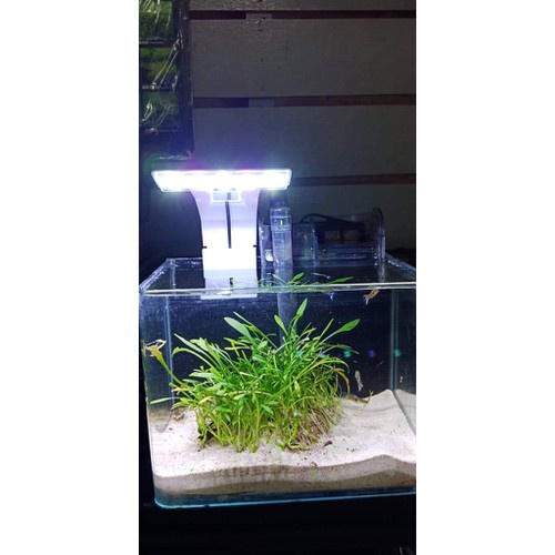 Đèn Flat S3 Nano Plus kẹp thành hồ cá thủy sinh, đèn led cho bể cá mini