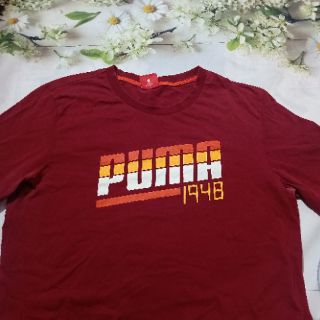 Combo áo thun free shipping